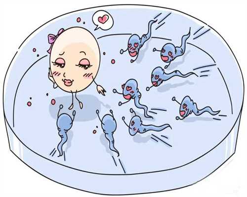 试管婴儿取卵手术多长时间可以移植冻胚胎